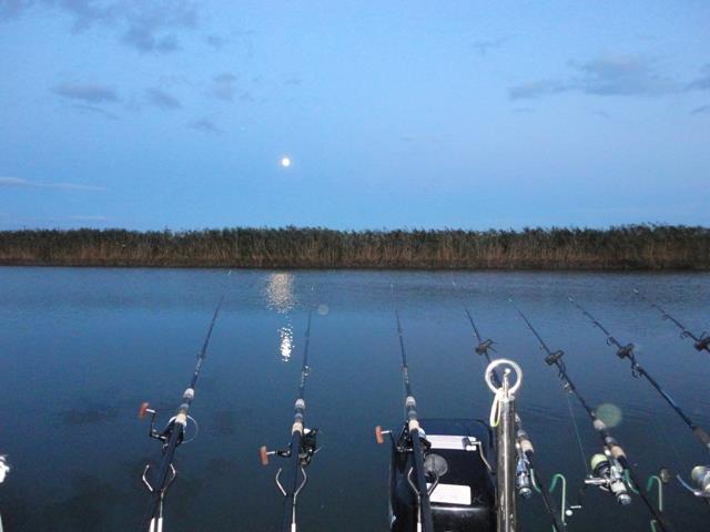 Sulina sept. 2013 - part. II - dsc00701.JPG